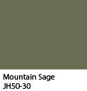 Mountain Sage