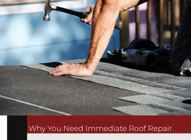 Why You Need Immediate Roof Repair