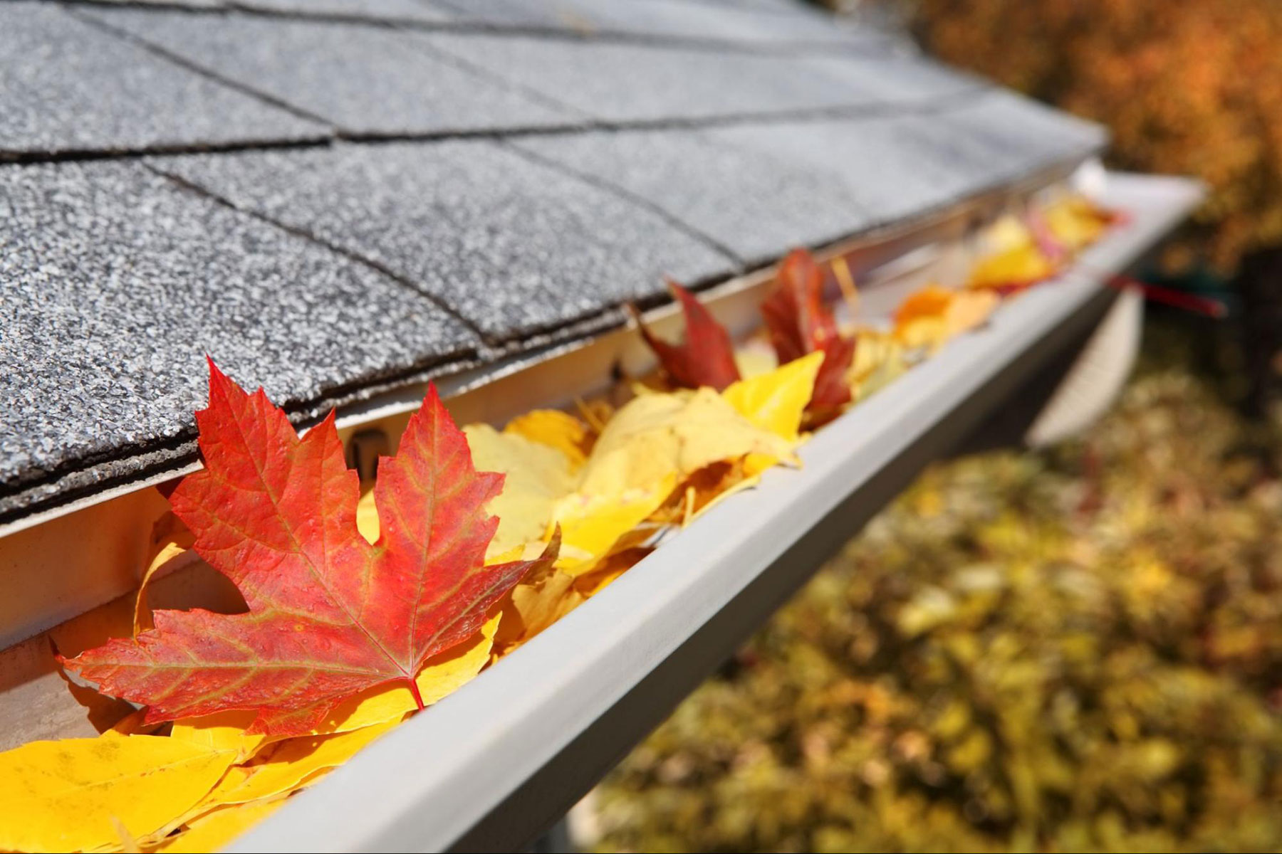 Winter Prep: Ensuring Your Home’s Warmth During the Cold Months